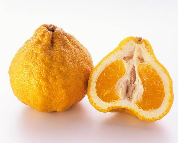 Fruit Disease Detector